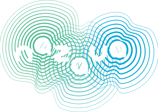 Nazava International Logo